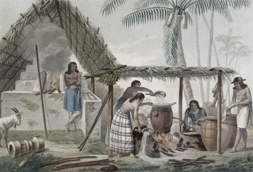 View of a Distillery on the Island of Guam, from 